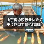 山东省橡胶行业协会关于《巨型工程机械轮胎实车使用寿命测算方法》团体标准的发布通知（图4）