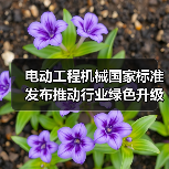 电动工程机械国家标准发布推动行业绿色升级(图4) 电动工程机械国家标准发布推动行业绿色升级(图4)