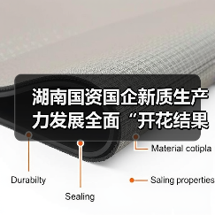 湖南国资国企新质生产力发展全面“开花结果”（图4）