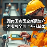 湖南国资国企新质生产力发展全面“开花结果”（图3）