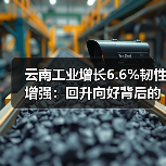 云南工业增长6.6%韧性增强:回升向好背后的数据密码(图3) 云南工业增长6.6%韧性增强:回升向好背后的数据密码(图3)