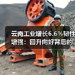 云南工业增长6.6%韧性增强:回升向好背后的数据密码(图4) 云南工业增长6.6%韧性增强:回升向好背后的数据密码(图4)