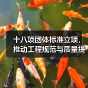 十八项团体标准立项，推动工程规范与质量提升（图1）