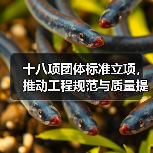 十八项团体标准立项，推动工程规范与质量提升（图2）