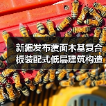 新疆发布覆面木基复合板装配式低层建筑构造图集新规（图3）