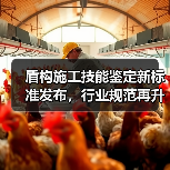 盾构施工技能鉴定新标准发布，行业规范再升级（图4）