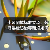 十项团体标准立项，装修裂缝防治等新规如何影响行业？（图1）