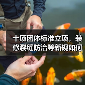 十项团体标准立项，装修裂缝防治等新规如何影响行业？（图3）