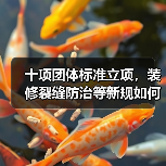 十项团体标准立项，装修裂缝防治等新规如何影响行业？（图4）