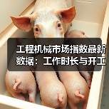 工程机械市场指数最新数据:工作时长与开工率环比下滑解析(图3) 工程机械市场指数最新数据:工作时长与开工率环比下滑解析(图3)