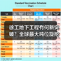 徐工地下工程有何新突破?全球最大吨位旋挖钻机引领行业(图3) 徐工地下工程有何新突破?全球最大吨位旋挖钻机引领行业(图3)