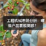 工程机械市场分析:哪些产品表现亮眼?(图3) 工程机械市场分析:哪些产品表现亮眼?(图3)