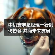 中机寰宇总经理一行到访协会 共商未来发展（图1）