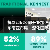 杭叉印尼公司开业加速东南亚布局,深化国际化战略(图4) 杭叉印尼公司开业加速东南亚布局,深化国际化战略(图4)