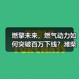燃擎未来,燃气动力如何突破百万下线?潍柴WP16NG4.0引领行业变革!(图2) 燃擎未来,燃气动力如何突破百万下线?潍柴WP16NG4.0引领行业变革!(图2)