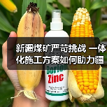 新疆煤矿严苛挑战 一体化施工方案如何助力疆电外送项目高效升级?(图2) 新疆煤矿严苛挑战 一体化施工方案如何助力疆电外送项目高效升级?(图2)