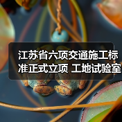 江苏省六项交通施工标准正式立项 工地试验室管理新规出炉（图2）