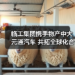 临工集团携手物产中大元通汽车 共拓全球化合作新篇章(图2) 临工集团携手物产中大元通汽车 共拓全球化合作新篇章(图2)