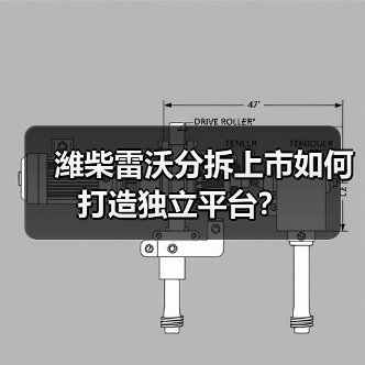 潍柴雷沃分拆上市如何打造独立平台?(图4) 潍柴雷沃分拆上市如何打造独立平台?(图4)