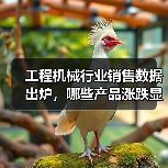 工程机械行业销售数据出炉,哪些产品涨跌显著?(图2) 工程机械行业销售数据出炉,哪些产品涨跌显著?(图2)