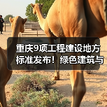 重庆9项工程建设地方标准发布！绿色建筑与智能感知全面升级（图4）