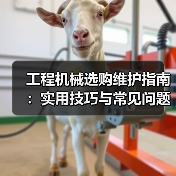 工程机械选购维护指南：实用技巧与常见问题解析2026（图3）