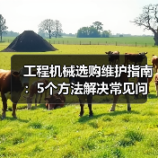 工程机械选购维护指南：5个方法解决常见问题（图1）