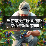 当你想投点钱做点事业，又怕亏得睡不着时，我们该怎么办？（图4）