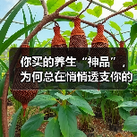 你买的养生“神品”，为何总在悄悄透支你的健康账户？（图4）