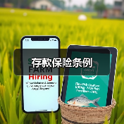 存款保险条例（图4）