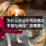 为什么你总在亏钱而高手却在赚钱？答案藏在这两个字里（图3）