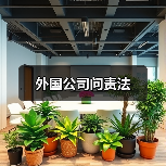 外国公司问责法（图1）