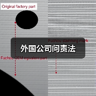 外国公司问责法（图4）