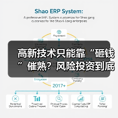 高新技术只能靠“砸钱”催熟？风险投资到底是不是科技创新的万能钥匙？（图1）