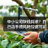 中小公司缺钱找谁？自己动手搞风险投资可能吗？（图2）