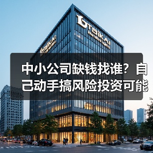 中小公司缺钱找谁？自己动手搞风险投资可能吗？（图1）