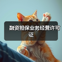 融资担保业务经营许可证（图1）