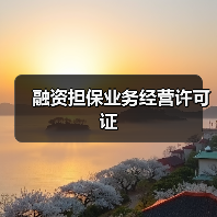 融资担保业务经营许可证（图4）