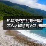 风险投资真的难进吗？怎么才能拿到VC的青睐？（图4）