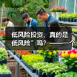 低风险投资，真的是“低风险”吗？——一个颠覆你认知的真相（图2）