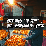 你手里的“硬资产”，真的会变成烫手山芋吗？——一个普通人的固定资产投资噩梦（图3）