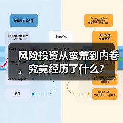 风险投资从蛮荒到内卷，究竟经历了什么？（图2）