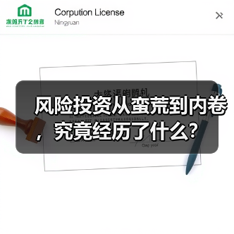 风险投资从蛮荒到内卷，究竟经历了什么？（图3）