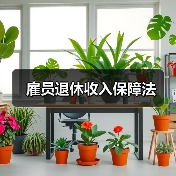 雇员退休收入保障法（图3）