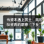 当资本遇上黄土：风险投资真的愿意“下乡”种地吗？（图4）