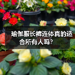 瑜伽服长裤连体真的适合所有人吗？（图4）